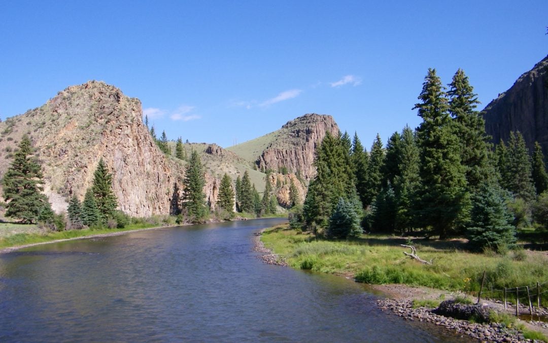 Moving Upstream: How Funders Can Address Root Causes