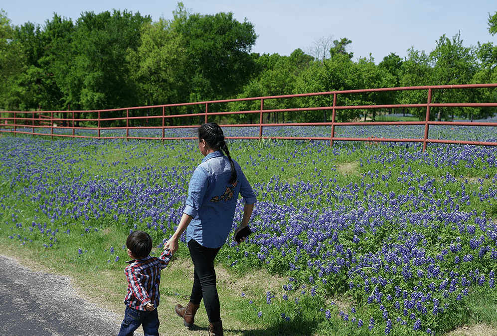 Hogg Foundation Awards $4.5 Million to Address Well-being in Rural Texas Communities