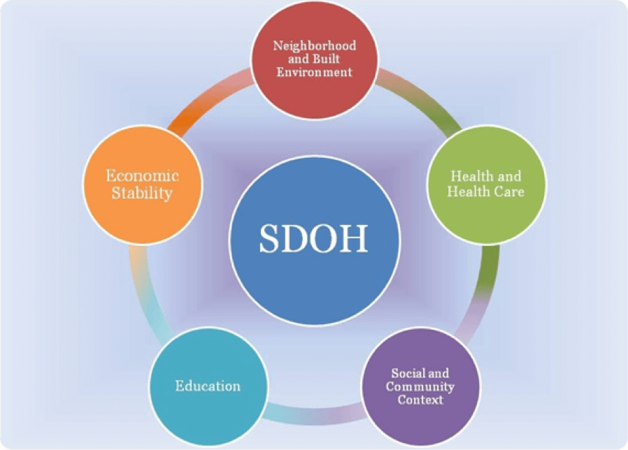 Environmental determinants of mental health