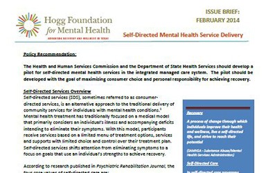 Policy Recommendation: Self-Directed Mental Health Service Delivery