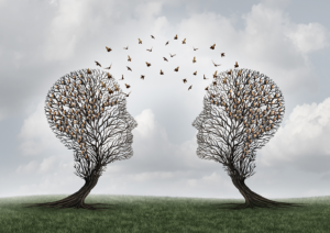 Concept of communication and communicating a message as two head shaped trees with birds flying as a metaphor for teamwork and business or personal relationship with 3D illustration elements.