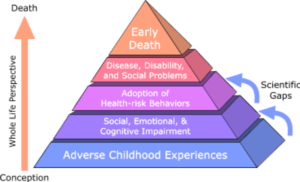 Pyramid graph of trauma-informed care