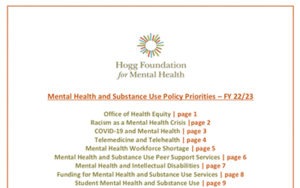 Hogg Foundation Policy Priorities