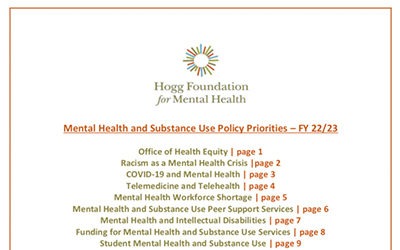 Hogg Foundation Policy Priorities for 2022 and Beyond