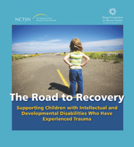 Road to Recovery cover