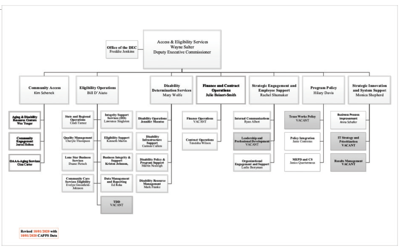 Texas Health and Human Services System | Hogg Foundation