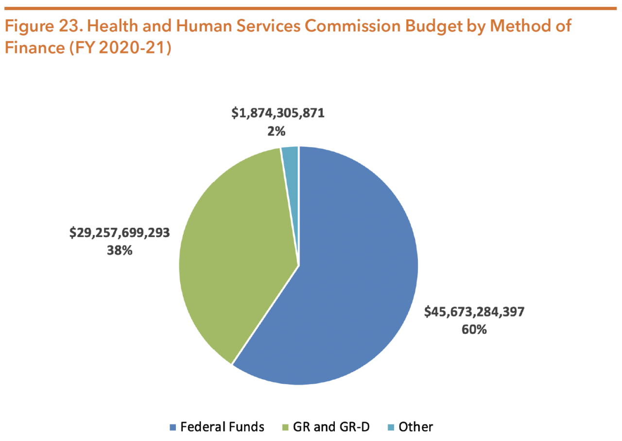 Texas Health and Human Services System | Hogg Foundation for Mental Health