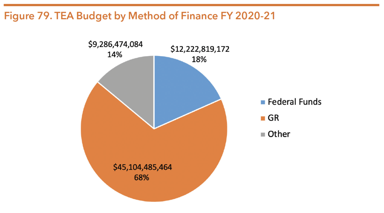 Texas Education Agency And Local School Districts | Hogg Foundation For ...