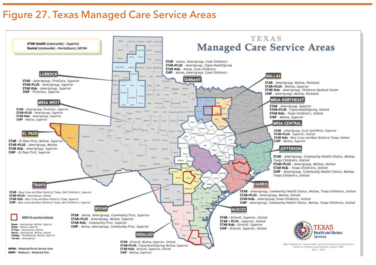 Texas Health and Human Services System Hogg Foundation