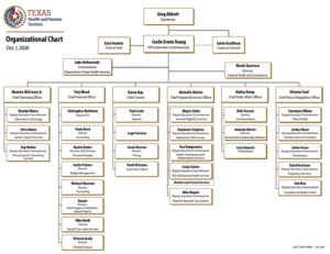 TXHHS Organizational Chart for MH GUIDE