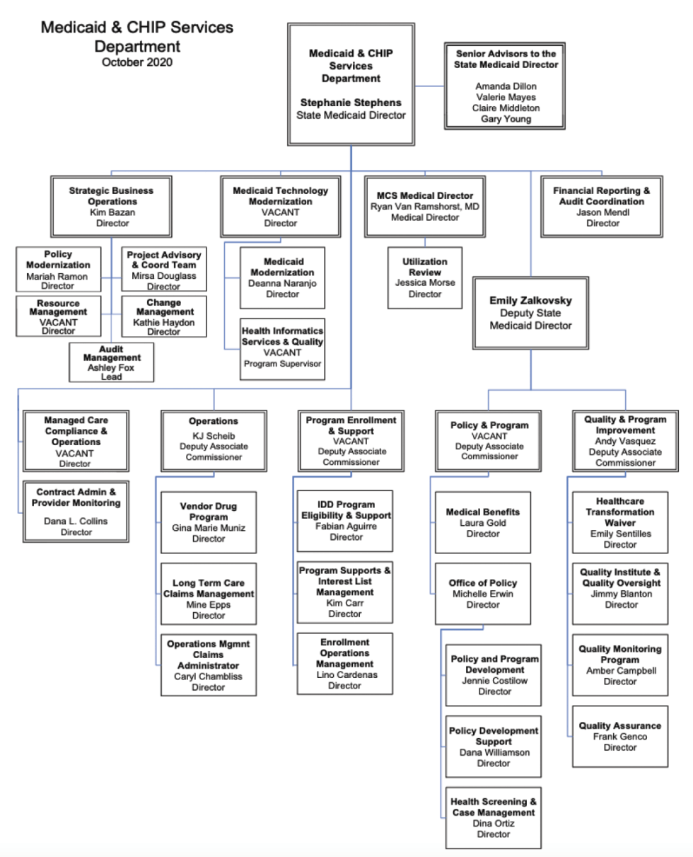 Texas Health And Human Services System 