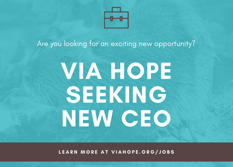 Career Opportunity: Via Hope Seeks New CEO!
