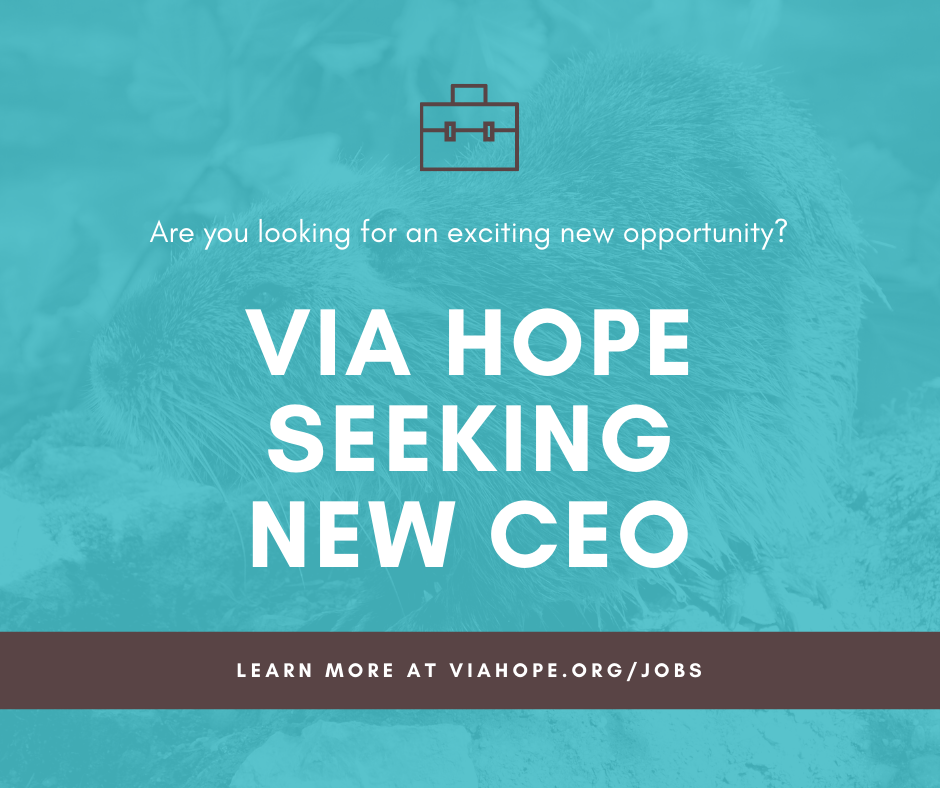 via hope seeking new CEO
