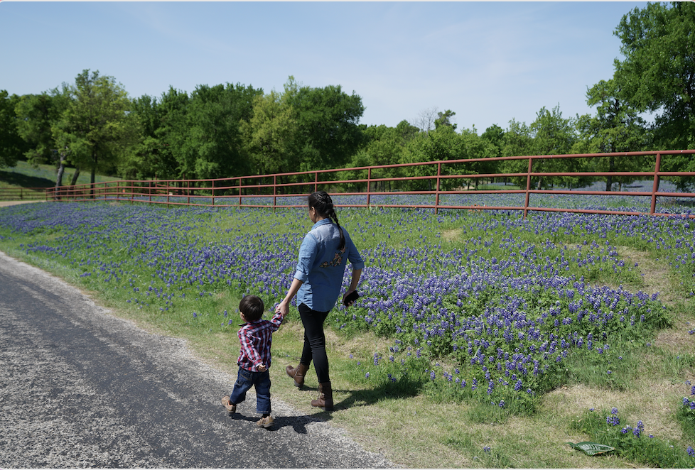 A photo of mother and son walking by a bluebonnet field