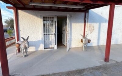 Transforming Lives at the Border: How a Rural Library in San Elizario is Changing the Game