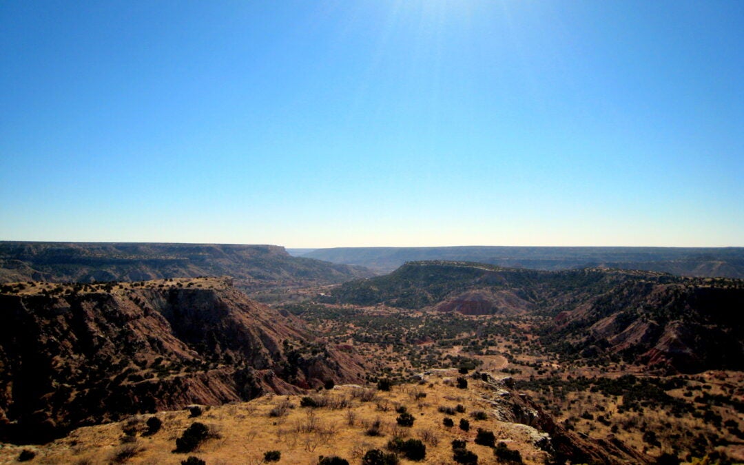 Partnership Across Distance: The Texas Panhandle