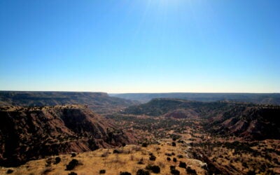 Partnership Across Distance: The Texas Panhandle