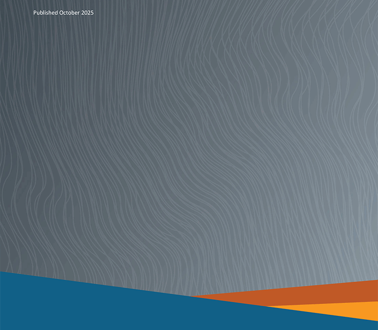 Federal Funding Shifts and their Impacts on Texas Communities