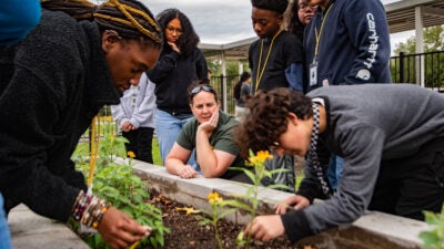 Students working together at a school garden in Houston.