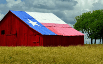 Hogg Foundation to Award $3.75 Million in Grants to Strengthen the Mental Health of Rural and Rural Border Communities